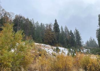 Arrowhead Ridge site