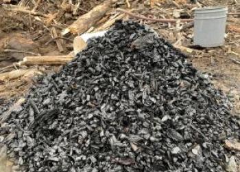 pile of burnt wood