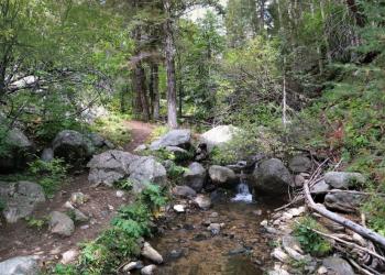 Tesuque Creek Trail