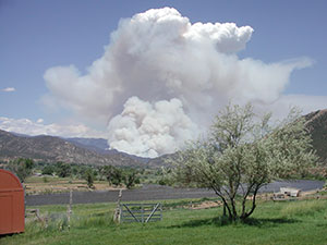 Smoke rising from a wildfire