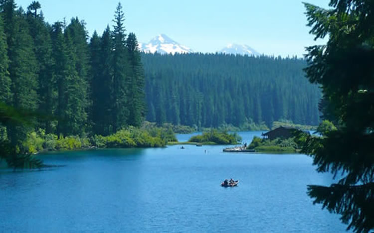 View of Clear Lake on the Williamette National Forest, Oregon. Photo by Angelica Hernandez.