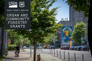 A picture of a an urban setting with a man pushing a baby stroller with a small child inside. Several urban trees can be seen in the picture.